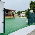 Elena Villa *