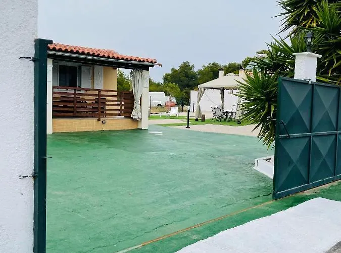 Elena Villa *